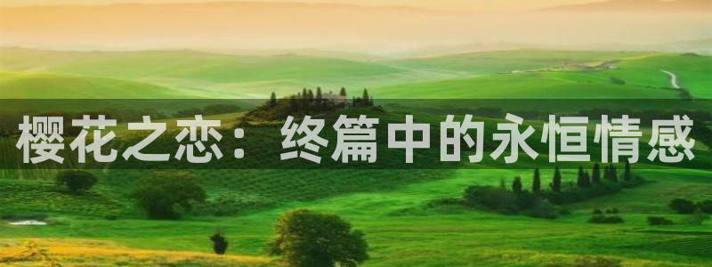 虫虫漫画网：樱花之恋：终篇中的永恒情感