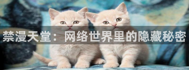 虫虫漫画专注动漫的门户网站：禁漫天堂：网络世界里的隐藏秘密