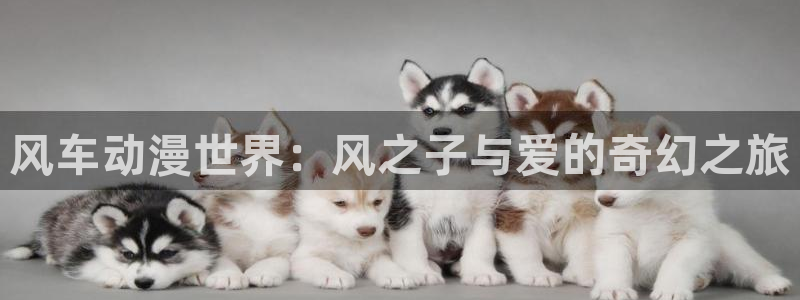 虫虫漫画下载入口：风车动漫世界：风之子与爱的奇幻之旅