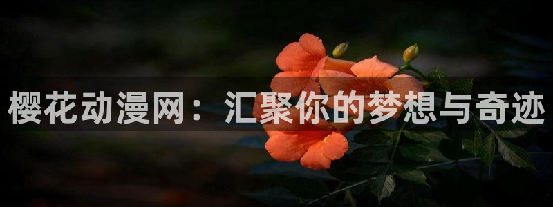 虫虫漫画官网网址：樱花动漫网：汇聚你的梦想与奇迹