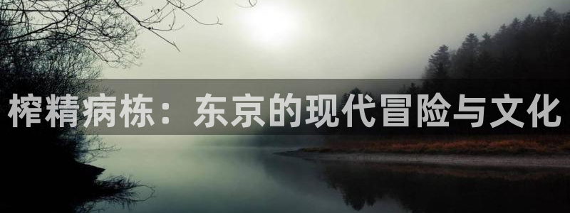 age樱花动漫：榨精病栋：东京的现代冒险与文化