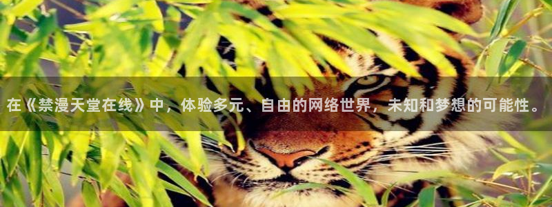volcanicage漫画：在《禁漫天堂在线》中，体验多元、自由的网络世界，未知和梦想的可能性。