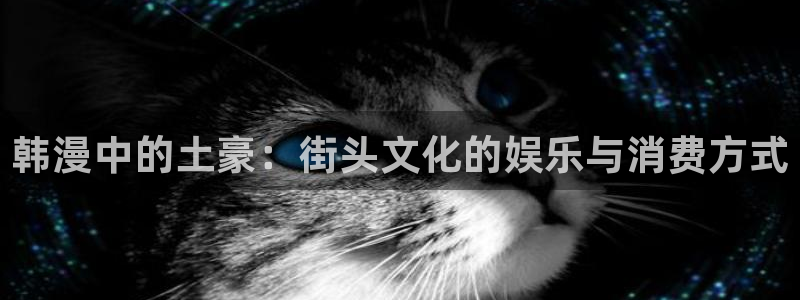 stagenehind韩漫免费观看：韩漫中的土豪：街头文化的娱乐与消费方式
