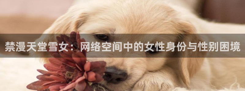 虫虫漫画下载动漫全免费：禁漫天堂雪女：网络空间中的女性身份与性别困境