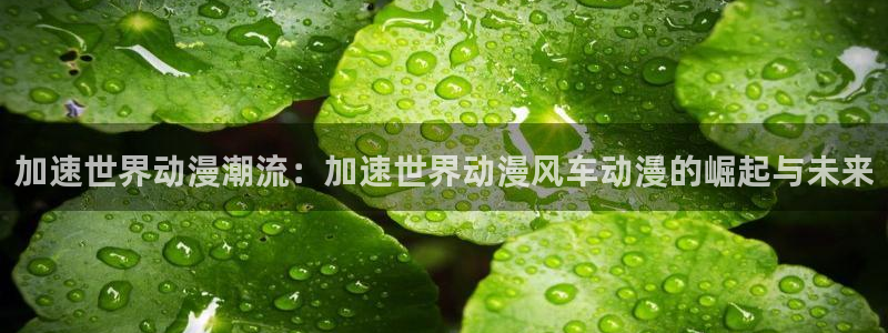 managereader漫画官网入口：加速世界动漫潮流：加速世界动漫风车动漫的崛起与未来