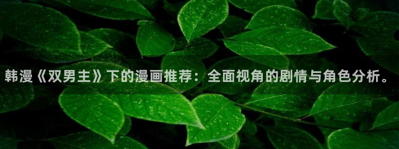 虫虫漫画下载动漫全免费：韩漫《双男主》下的漫画推荐：全面视角的剧情与角色分析。