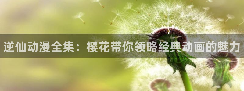 虫虫漫画官网网址：逆仙动漫全集：樱花带你领略经典动画的魅力