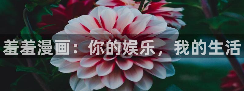 colomanage漫画官网：羞羞漫画：你的娱乐，我的生活