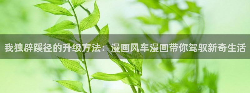 虫虫漫画官网樱花动漫：我独辟蹊径的升级方法：漫画风车漫画带你驾驭新奇生活