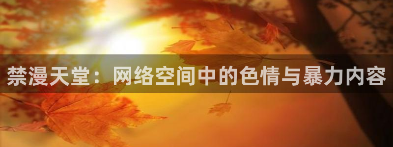 managereader漫画官网入口：禁漫天堂：网络空间中的色情与暴力内容