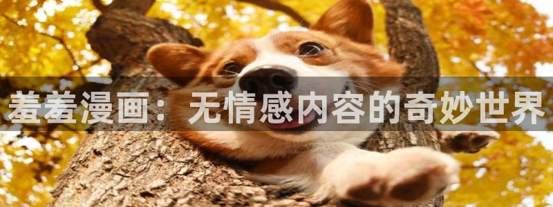 虫虫漫画官网入口老版本：羞羞漫画：无情感内容的奇妙世界