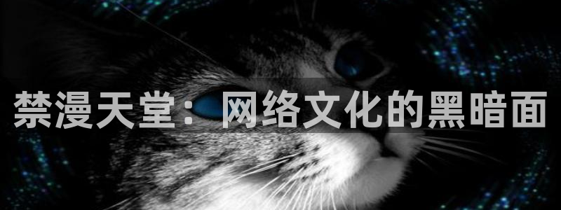 虫虫漫画网下载：禁漫天堂：网络文化的黑暗面