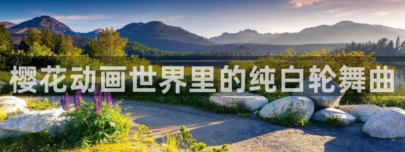 虫虫漫画官网入口老版本：樱花动画世界里的纯白轮舞曲