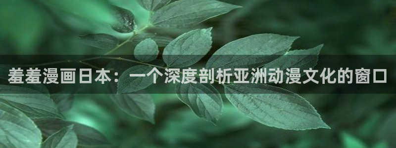 虫虫漫画官网网址：羞羞漫画日本：一个深度剖析亚洲动漫文化的窗口