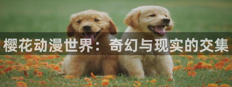 虫虫漫画网官网入口：樱花动漫世界：奇幻与现实的交集