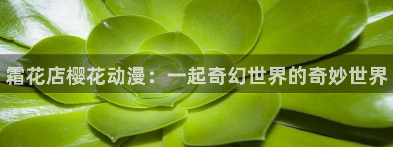 虫虫漫画下载网：霜花店樱花动漫：一起奇幻世界的奇妙世界